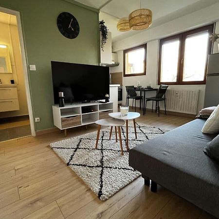 Cosy Rent Strasbourg Appartement Wifi Terrasse エクステリア 写真